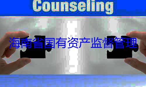 资产监督管海南省国有理委员会党委副书记王查调查有福接受审